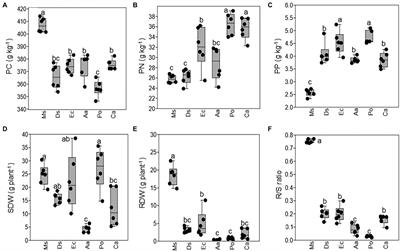 Weeds in the Alfalfa Field Decrease Rhizosphere Microbial Diversity and Association Networks in the North China Plain